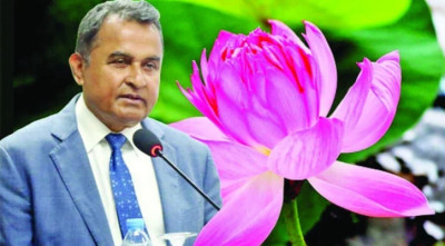 1751598477.LOtus Kamal.jpg